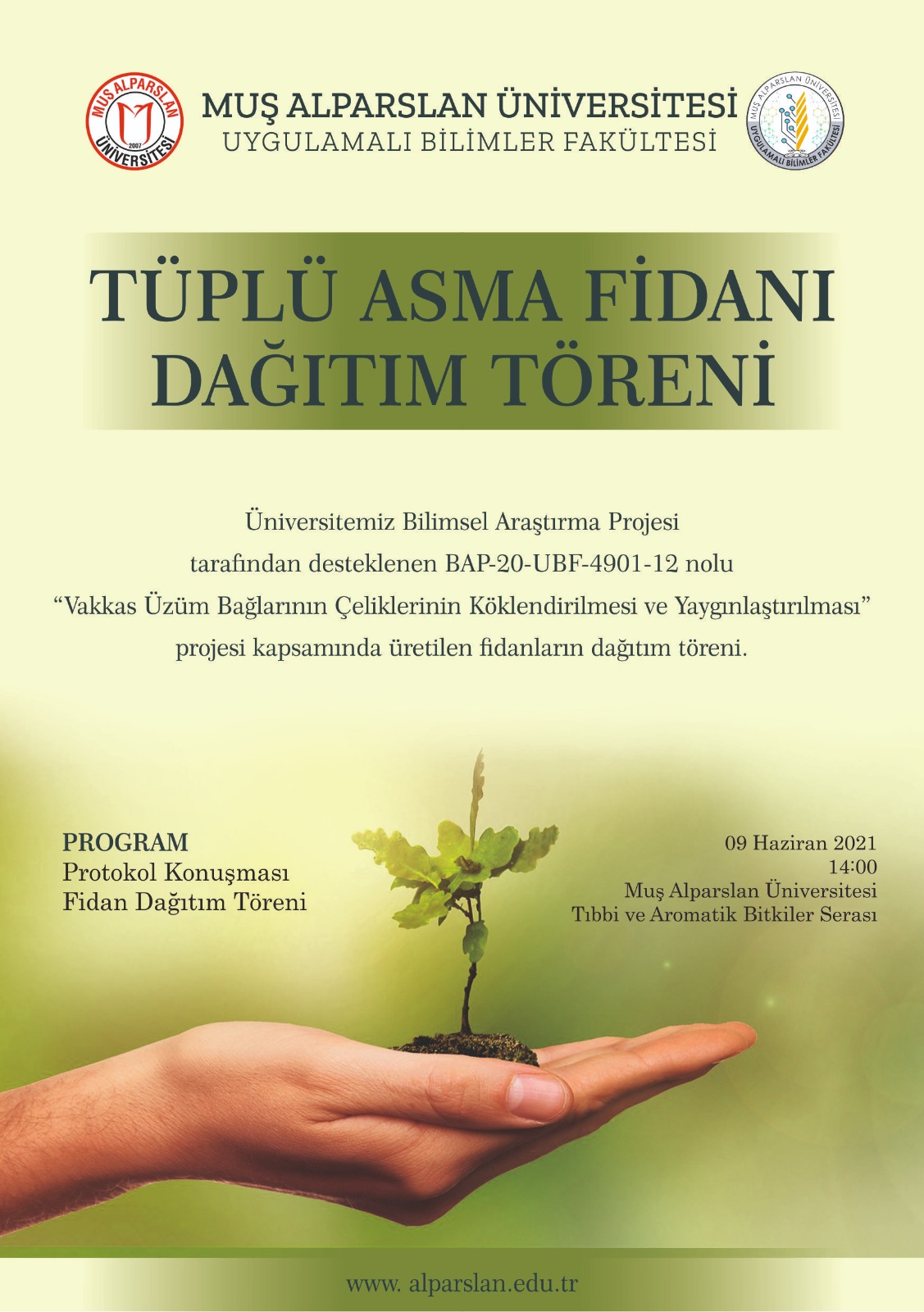 tuplu-asma-fidani-dagitim-toreni-186
