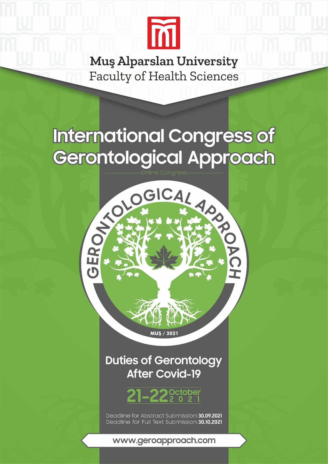 international-congress-of-gerontological-approach-427