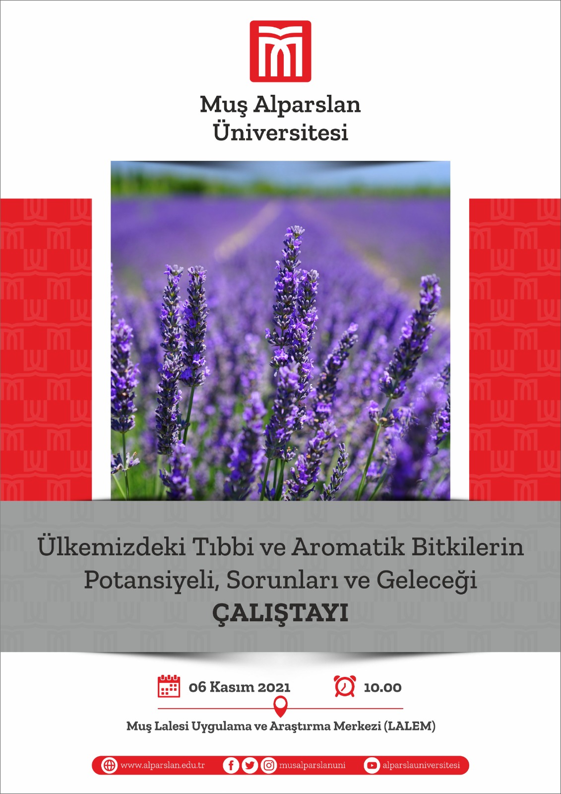 potential-problems-and-future-of-medicinal-and-aromatic-plants-in-turkey-431