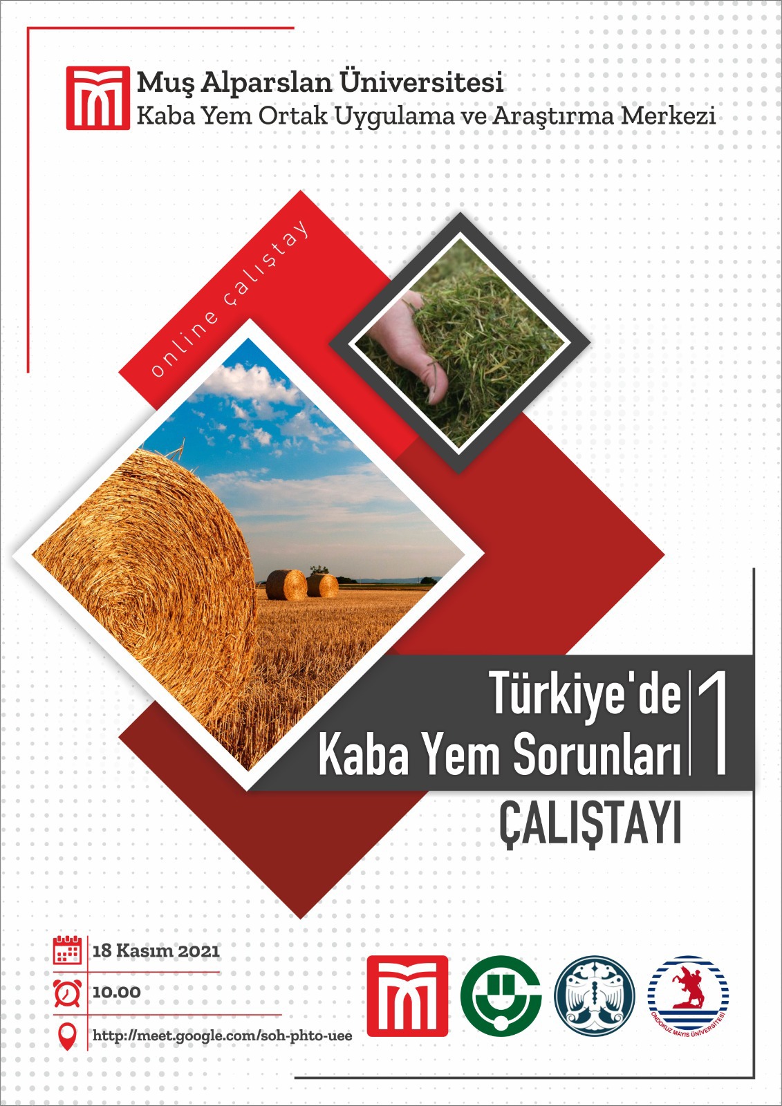 1st-workshop-on-roughage-problems-in-turkey-1018