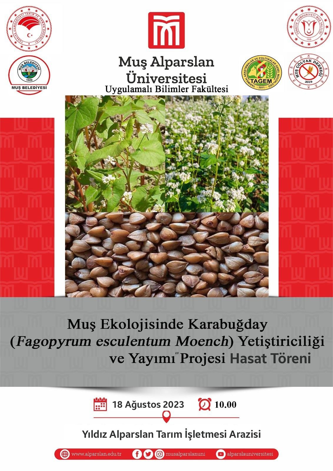 harvest-ceremony-of-buckwheat-cultivation-and-propagation-project-in-mus-ecology-2968