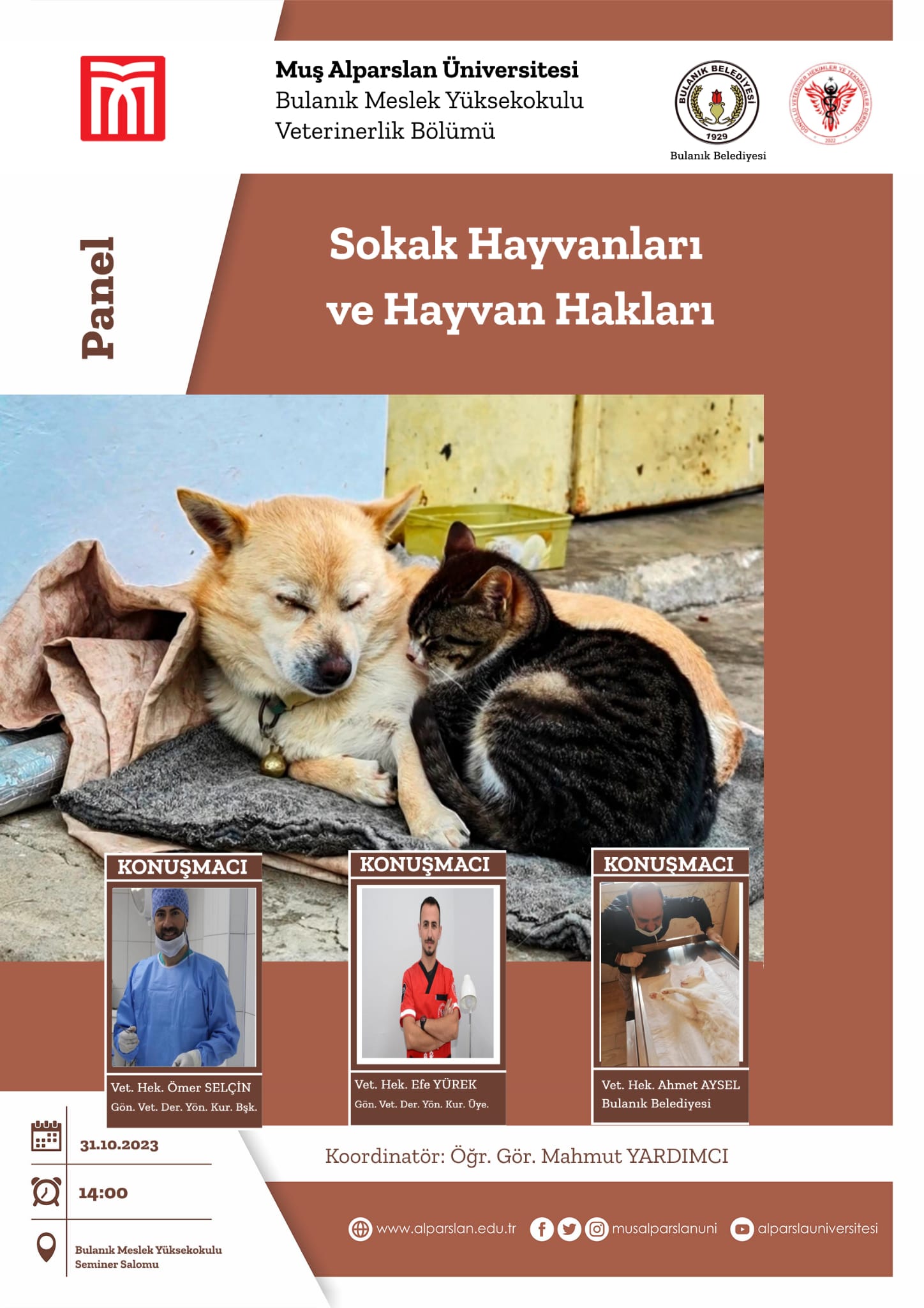 sokak-hayvanlari-ve-hayvan-haklari-3489