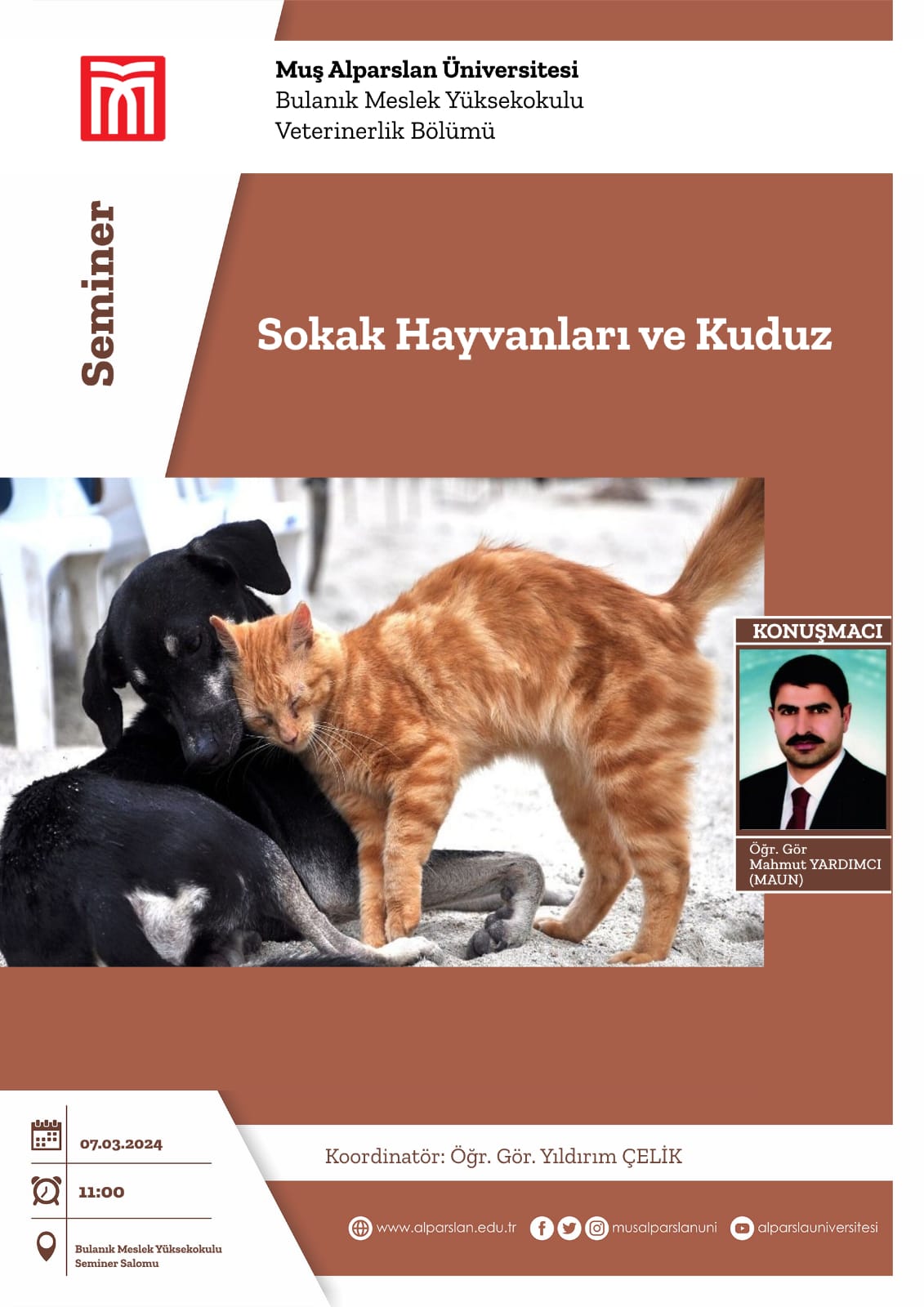 sokak-hayvanlari-ve-kuduz-4451