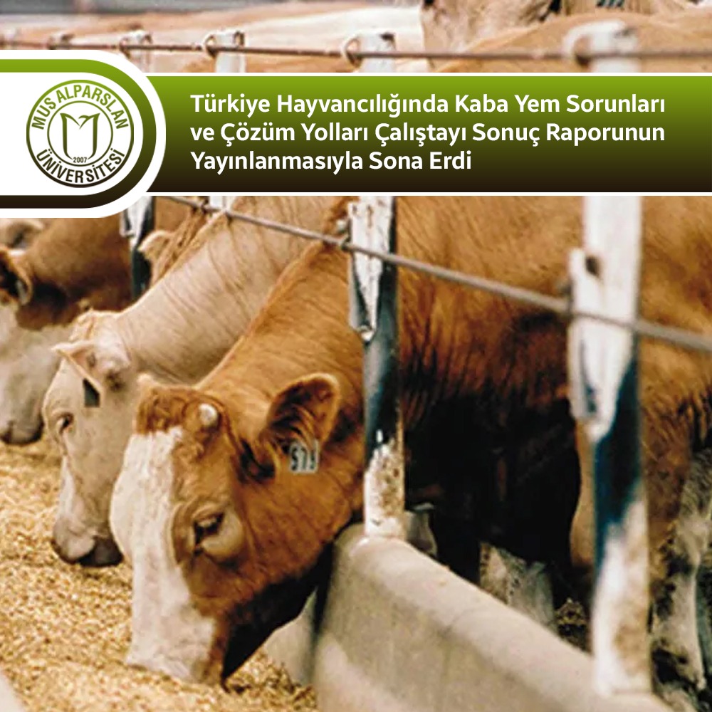 turkiye-hayvanciliginda-kaba-yem-sorunlari-ve-cozum-yollari-calistayi-sonuc-raporunun-yayinlanmasiyla-sona-erdi-607