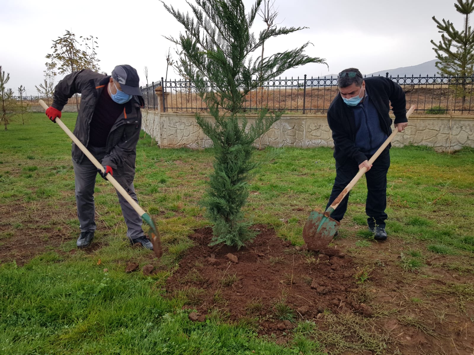 rektorlugumuz-kulliyemizde-fidan-dikimi-yapti-752