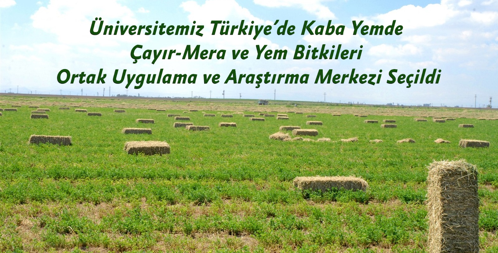 universitemiz-turkiyede-kaba-yemde-cayir-mera-ve-yem-bitkileri-ortak-uygulama-ve-arastirma-merkezi-secildi-804