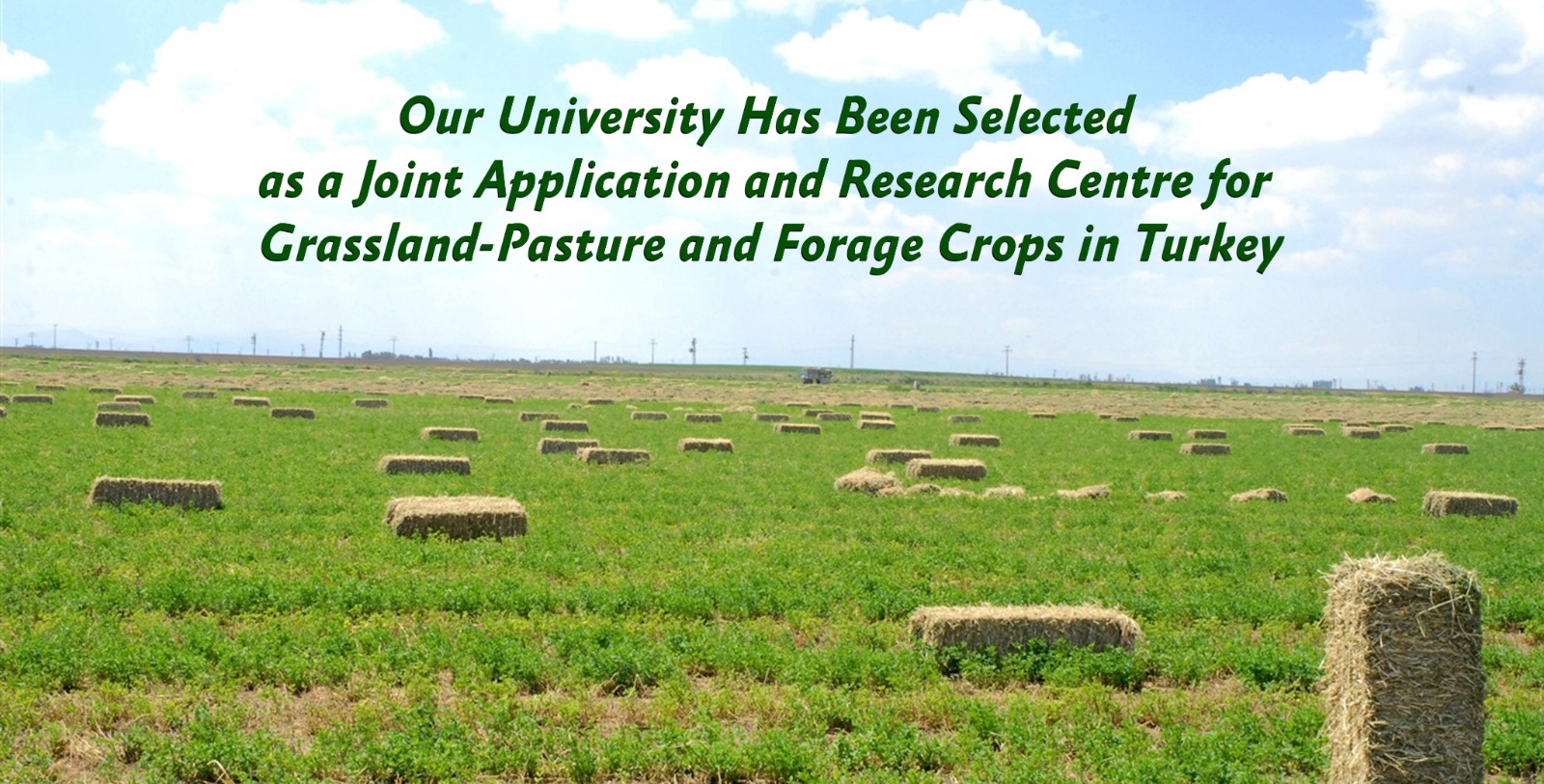 our-university-has-been-selected-as-a-joint-application-and-research-centre-for-grassland-pasture-and-forage-crops-in-turkey-805