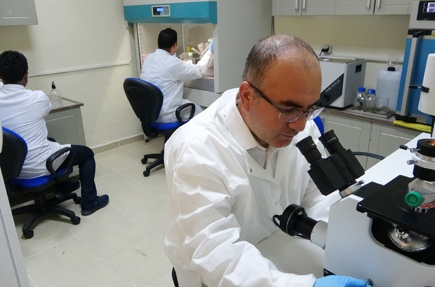 contribution-of-electrochemotherapy-to-cancer-treatment-by-our-lecturers-845