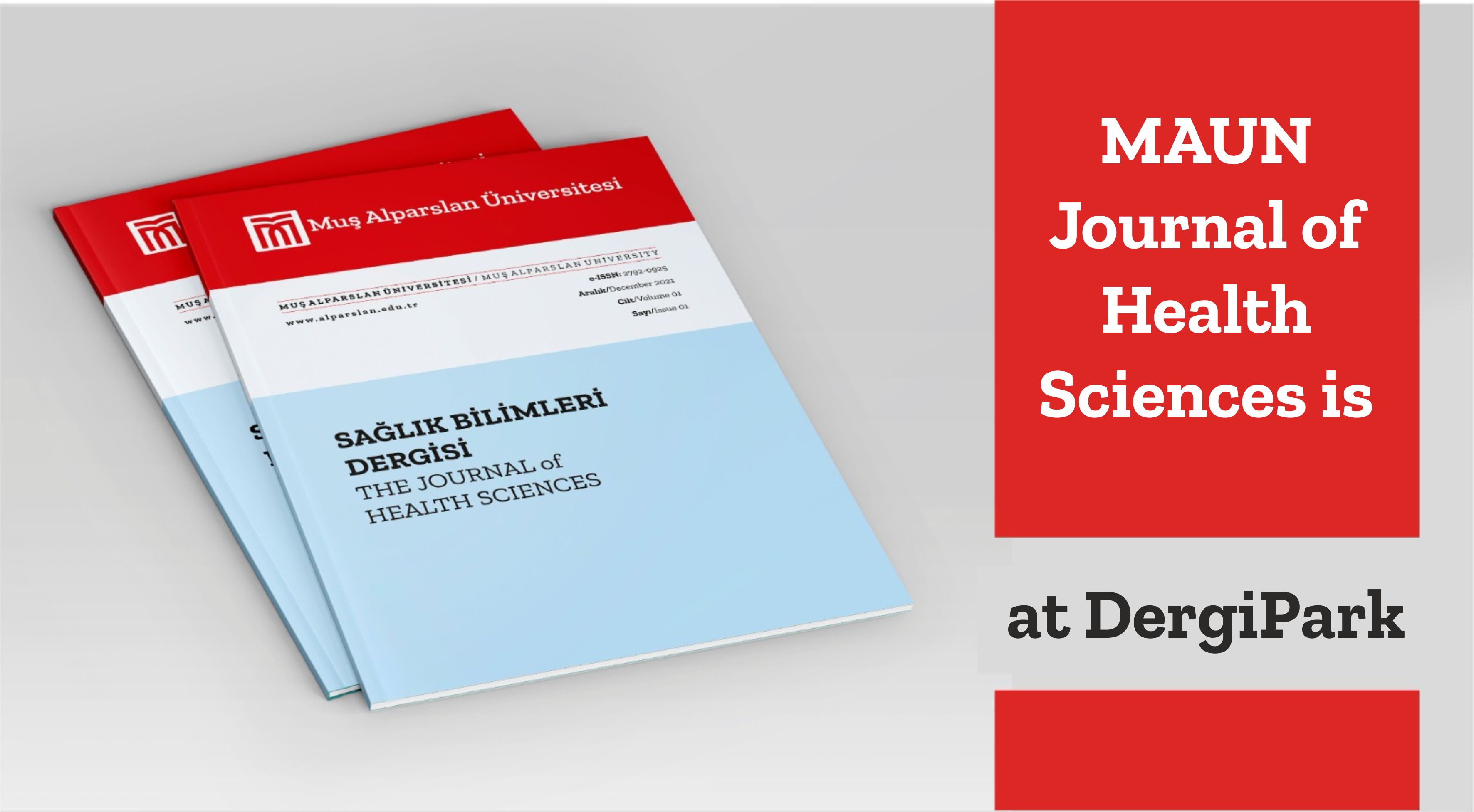 maun-journal-of-health-sciences-is-at-dergipark-1703