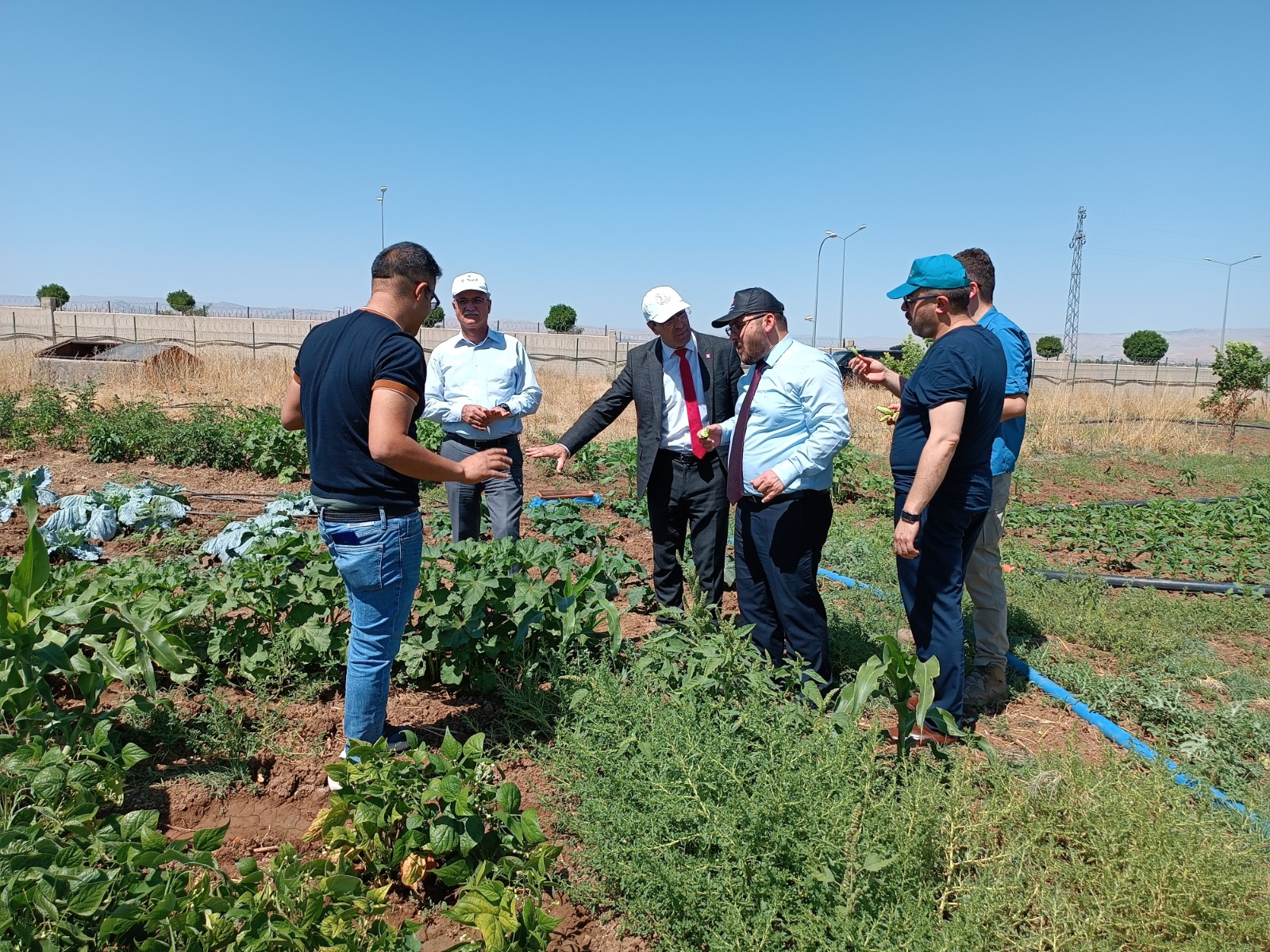 maun-rector-inspected-scientific-trial-sowing-areas-3042