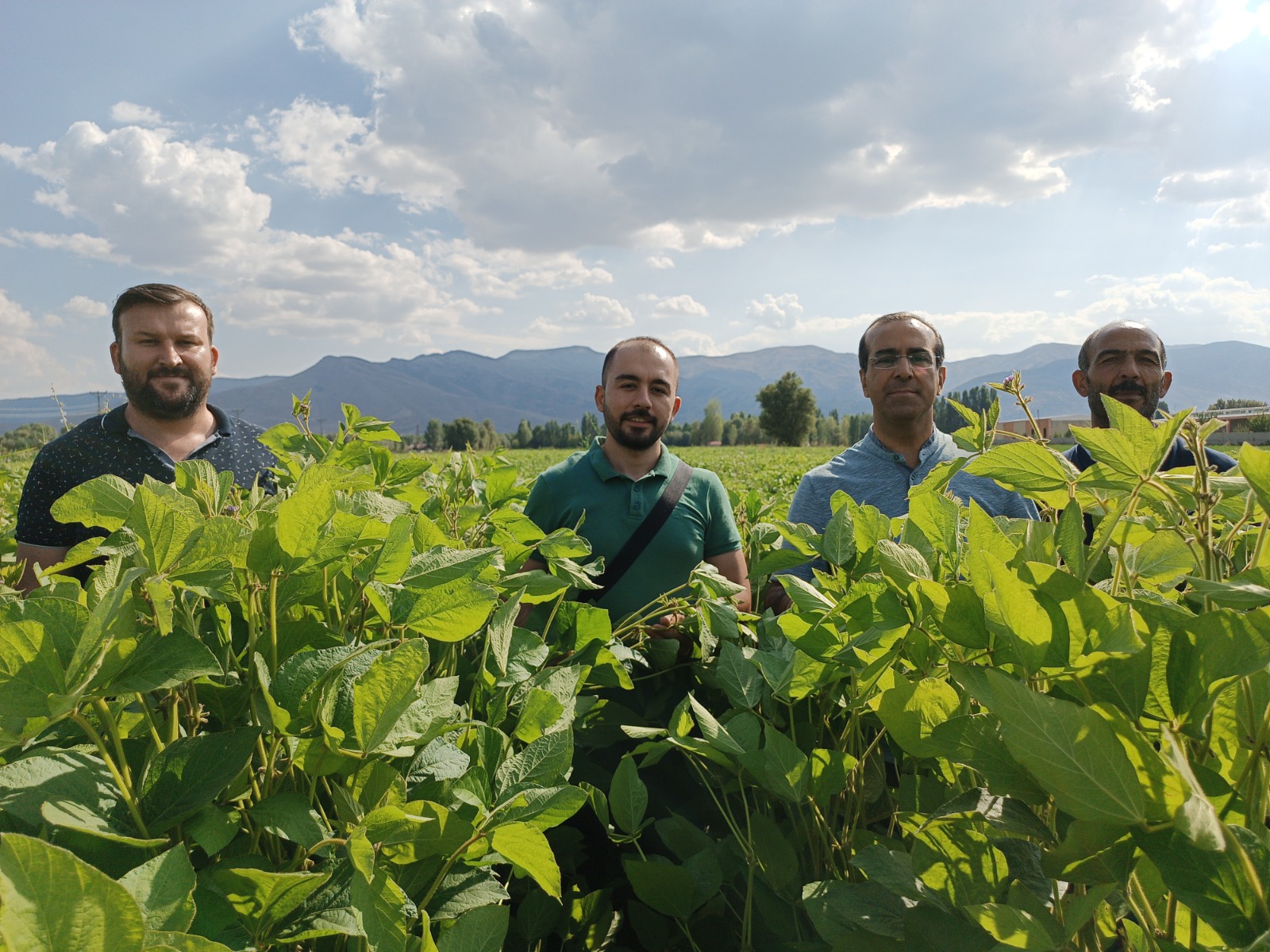 the-silage-soybeans-promising-hope-for-mus-plain-project-continues-its-efforts-3137