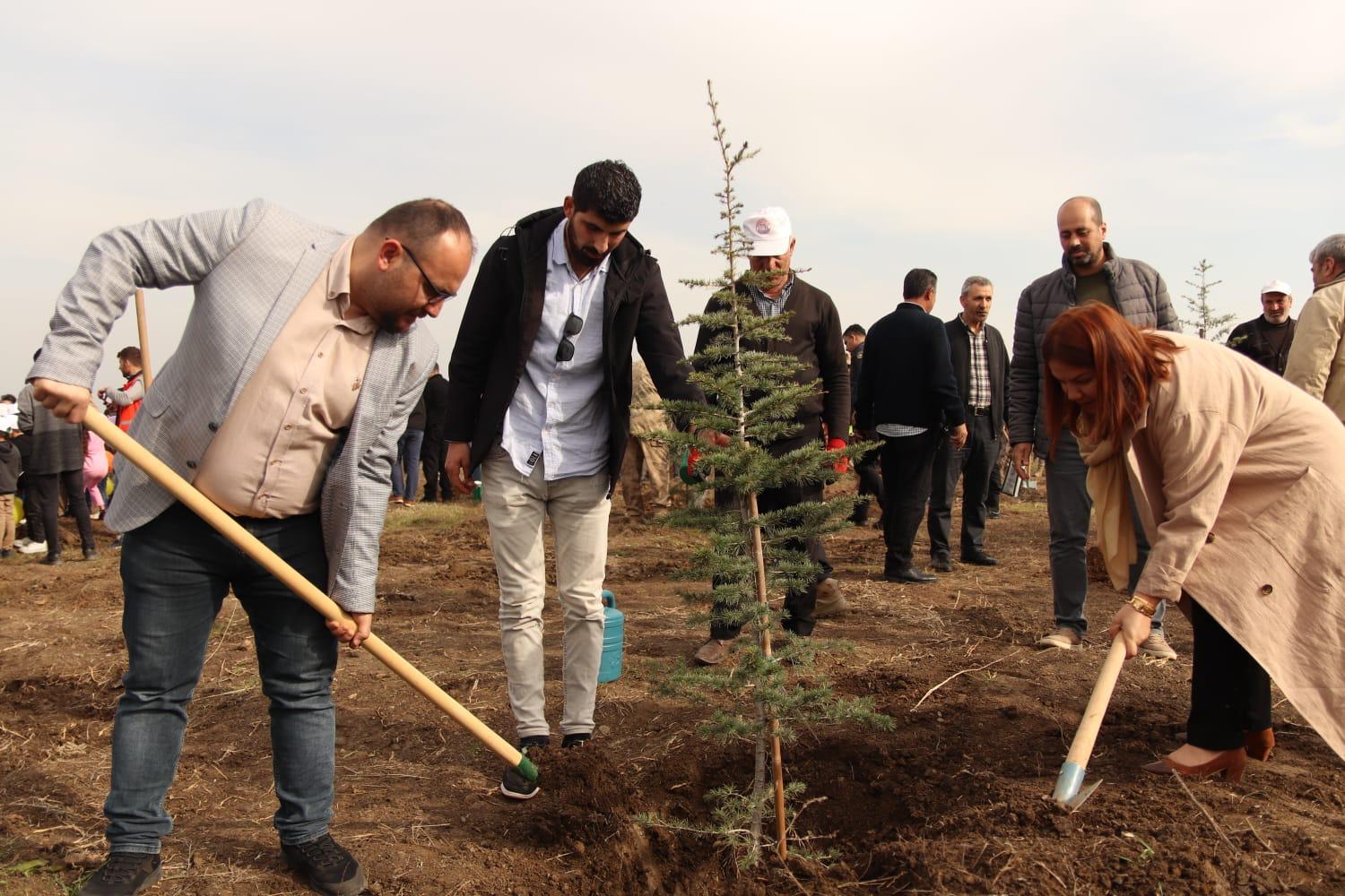 breath-for-the-future-breath-for-the-world-we-planted-our-saplings-on-11-november-national-afforestation-day-3652