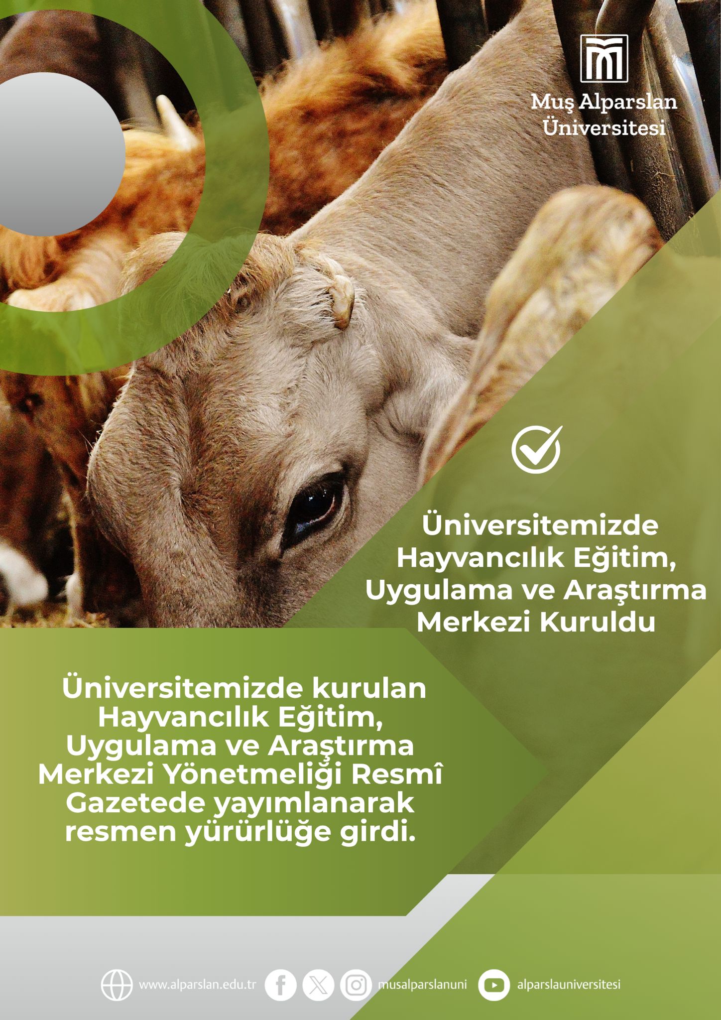 mus-alparslan-universitesi-hayvancilik-egitim-uygulama-ve-arastirma-merkezi-hay-mer-ile-bolgesel-ihtisaslasmada-yeni-bir-asamaya-gecti-8325