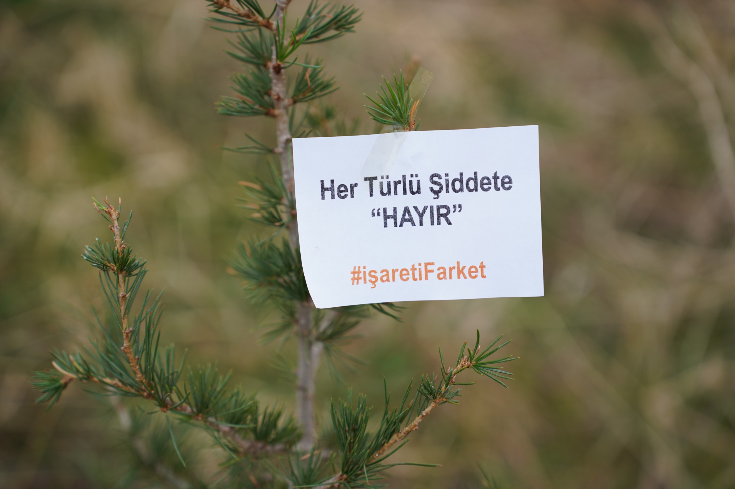 universitemizde-kadina-yonelik-siddetle-mucadele-icin-farkindalik-etkinligi-duzenlendi-8343